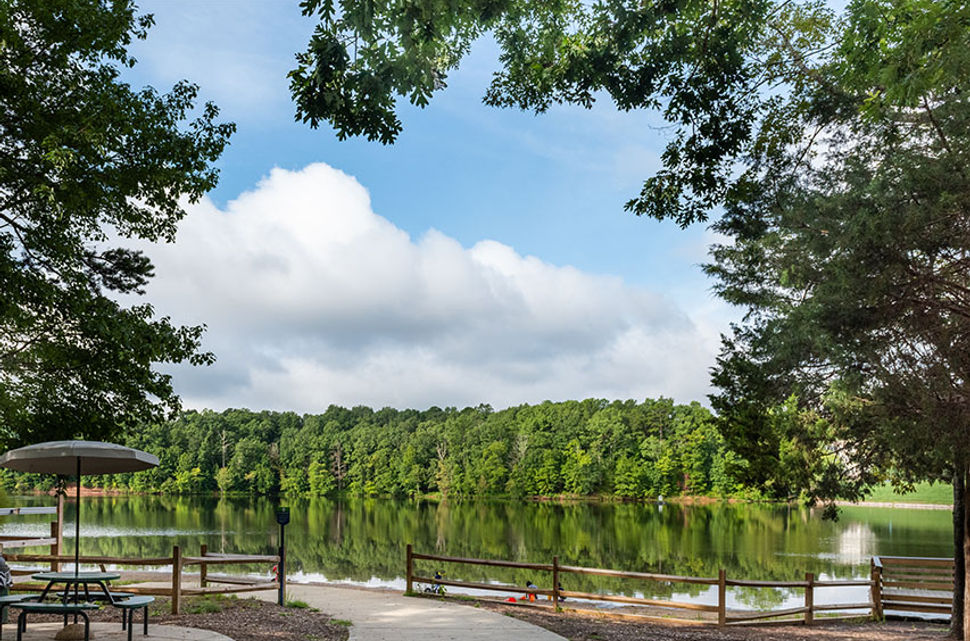 Outdoor fun at many parks and greenways nearby